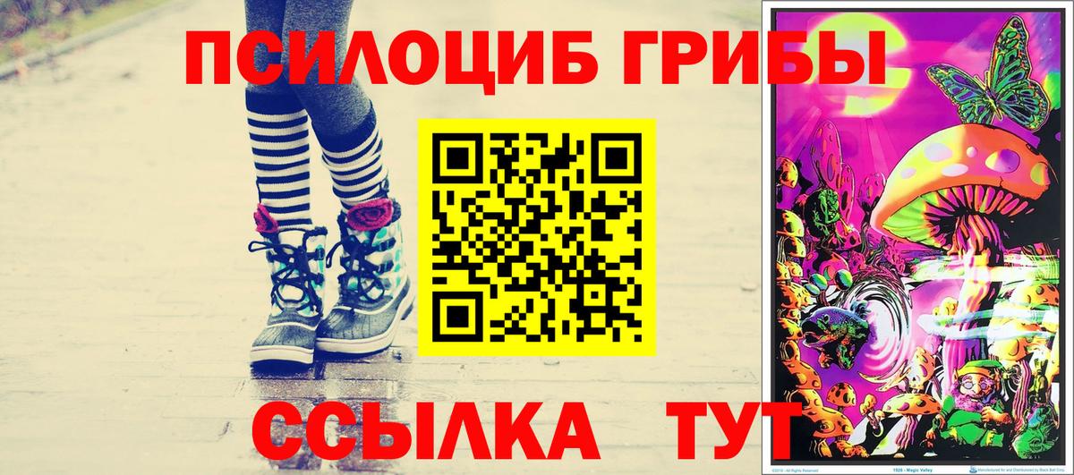 Галлюциногенные грибы MAGIC MUSHROOMS  Вход с VPN  Новозыбков  Псилоцибиновые грибы Magic Shrooms 