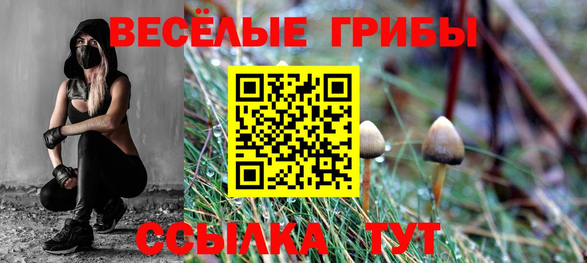 Галлюциногенные грибы мицелий Новозыбков